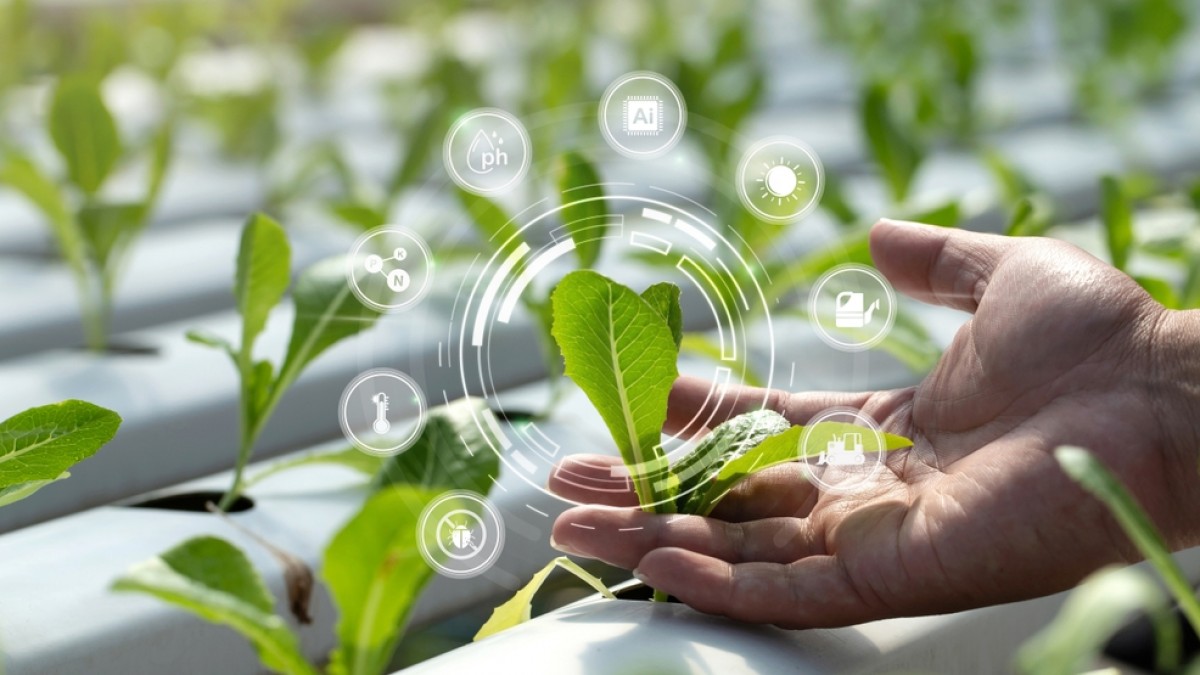 IT solutions in agriculture